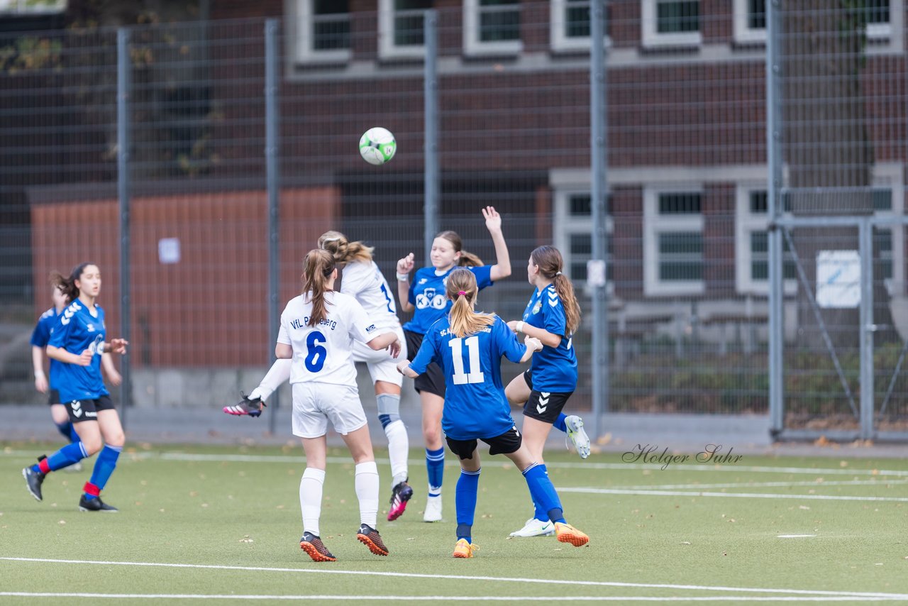 Bild 366 - wBJ Alstertal-Langenhorn - VfL Pinneberg : Ergebnis: 2:3